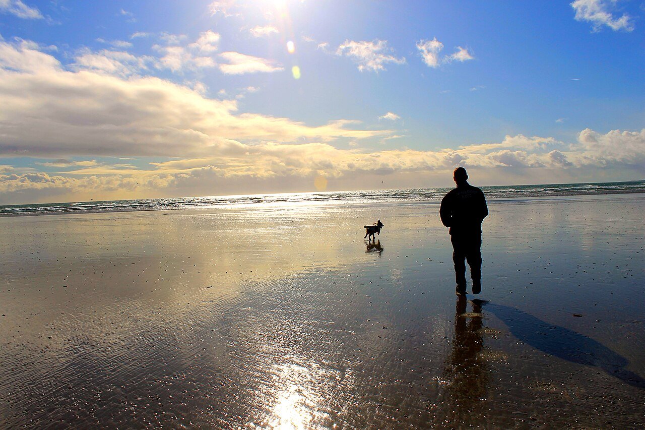 Cane e proprietario camminano su una spiaggia dell’Irlanda del Nord, fotografia di archivio illustrativa