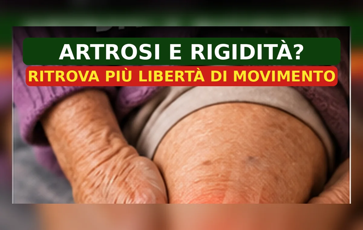 Contenuto sponsorizzato