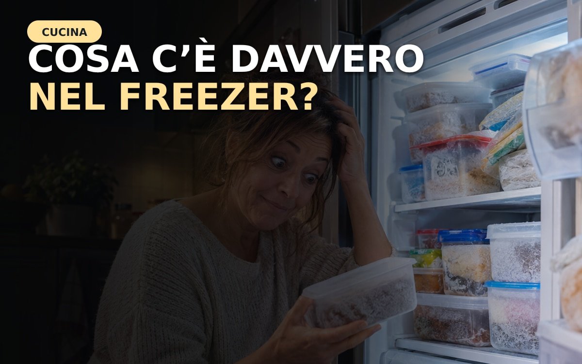 Contenitori etichettati ordinati in un freezer