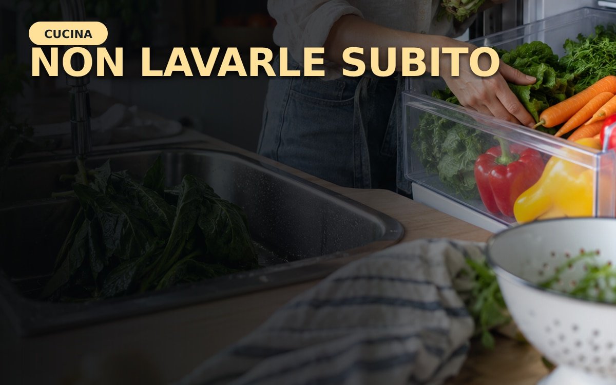 Verdure fresche conservate in frigorifero